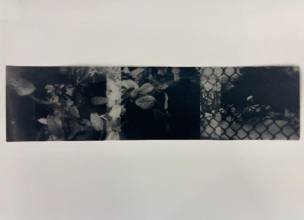 Rootbound Frames - Henry Jimenez, First Exposures Me...
