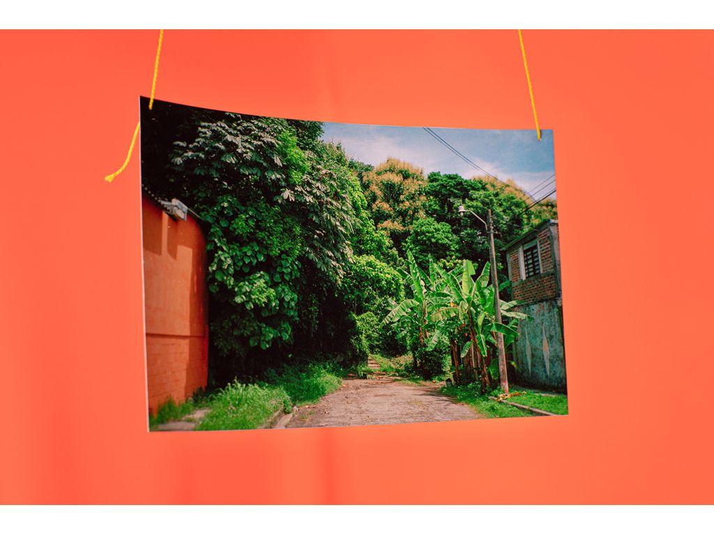 Lorena Molina, Friend of First Exposures - Finca