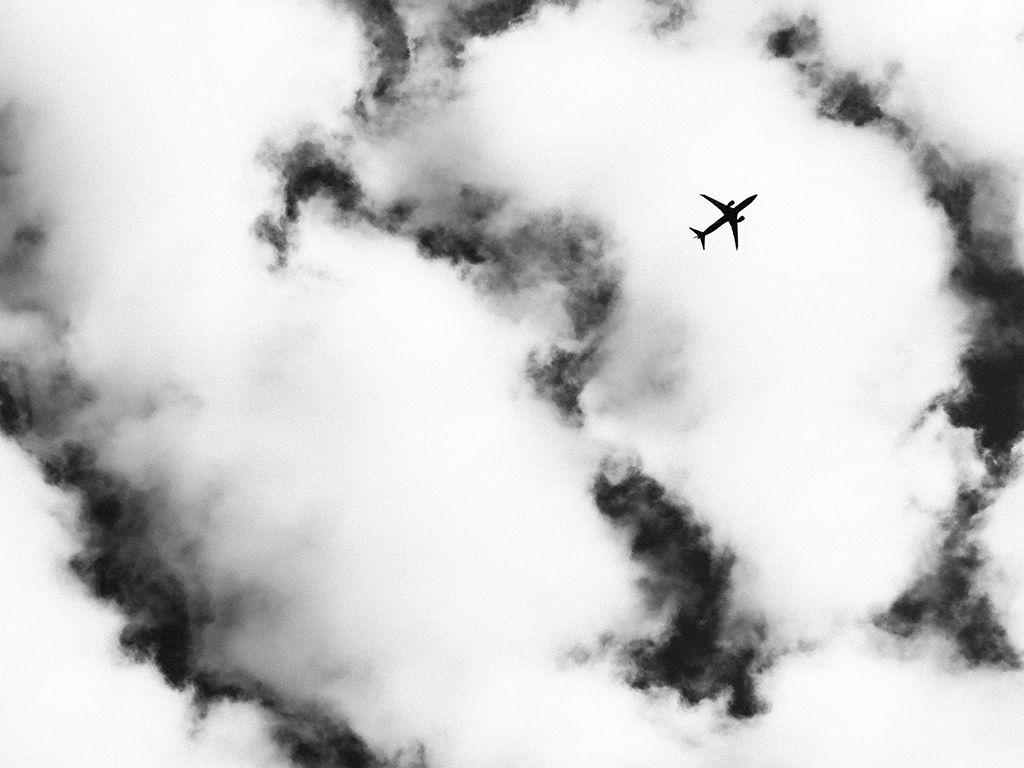 SkyBird - Rose Borden, First Exposures Mentor