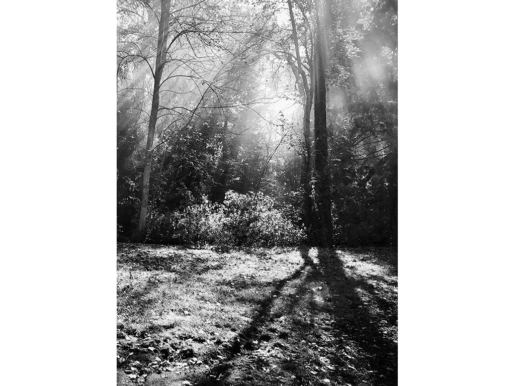 Morning in the Holler - Selina Weiss, First Exposure...