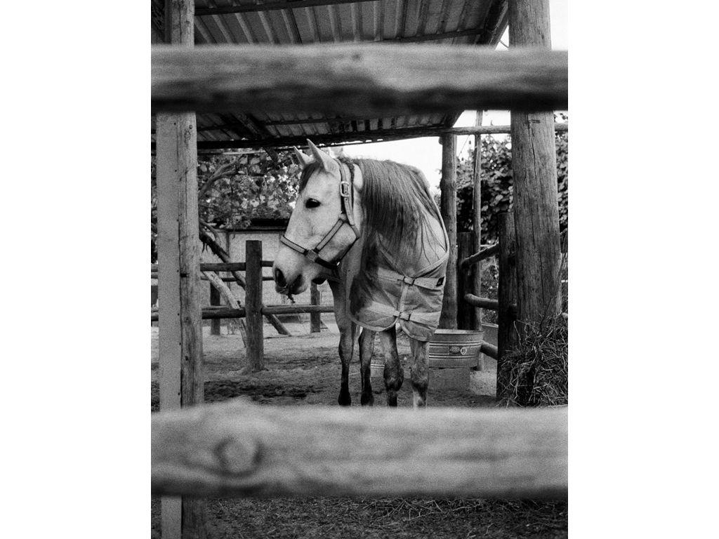 Jose Ortez Jr., Friend of First Exposures - El Lobo