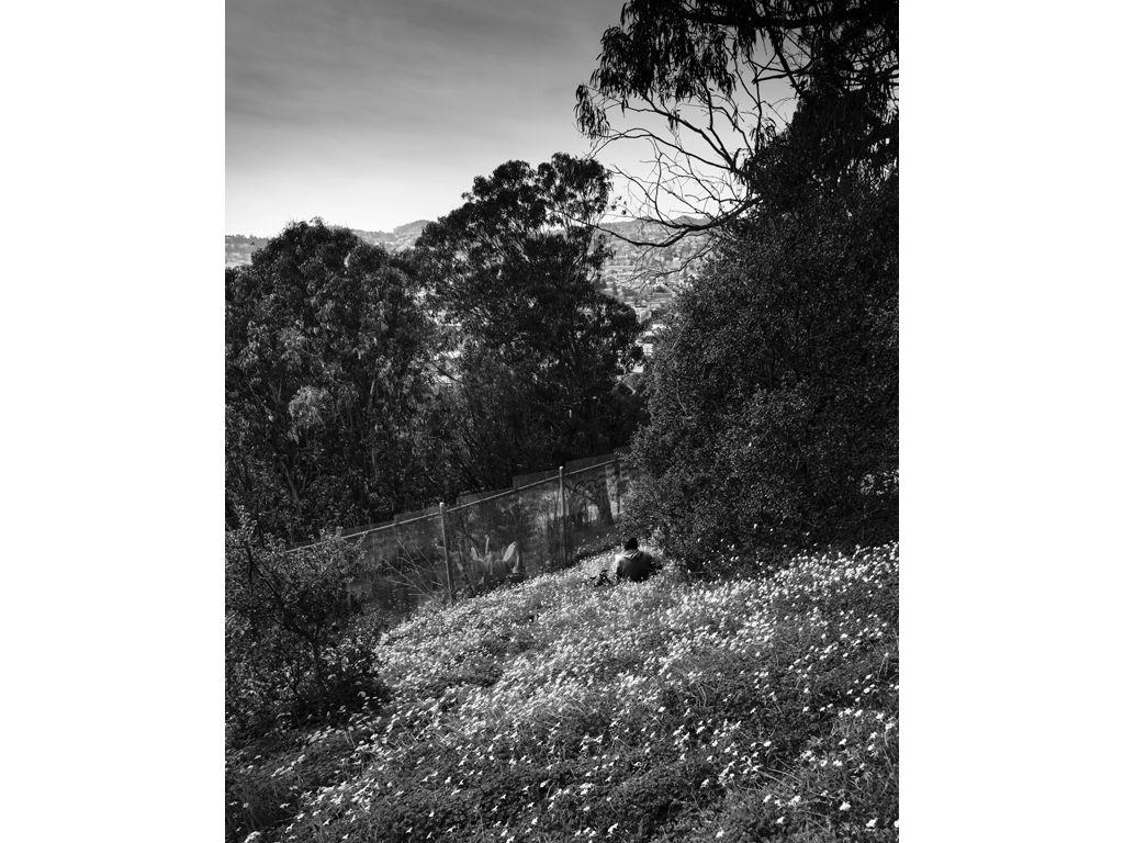 Sid Nambiar, First Exposures Mentee - Journaling