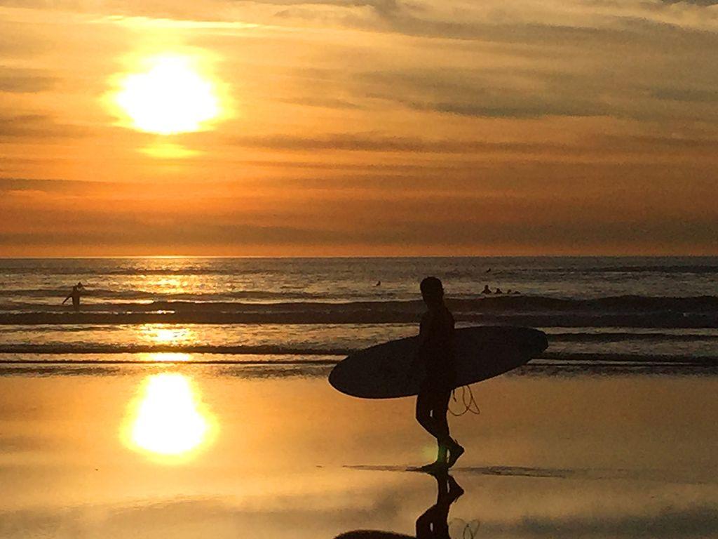 surfing into ________ - Christiane Gude, First Expos...