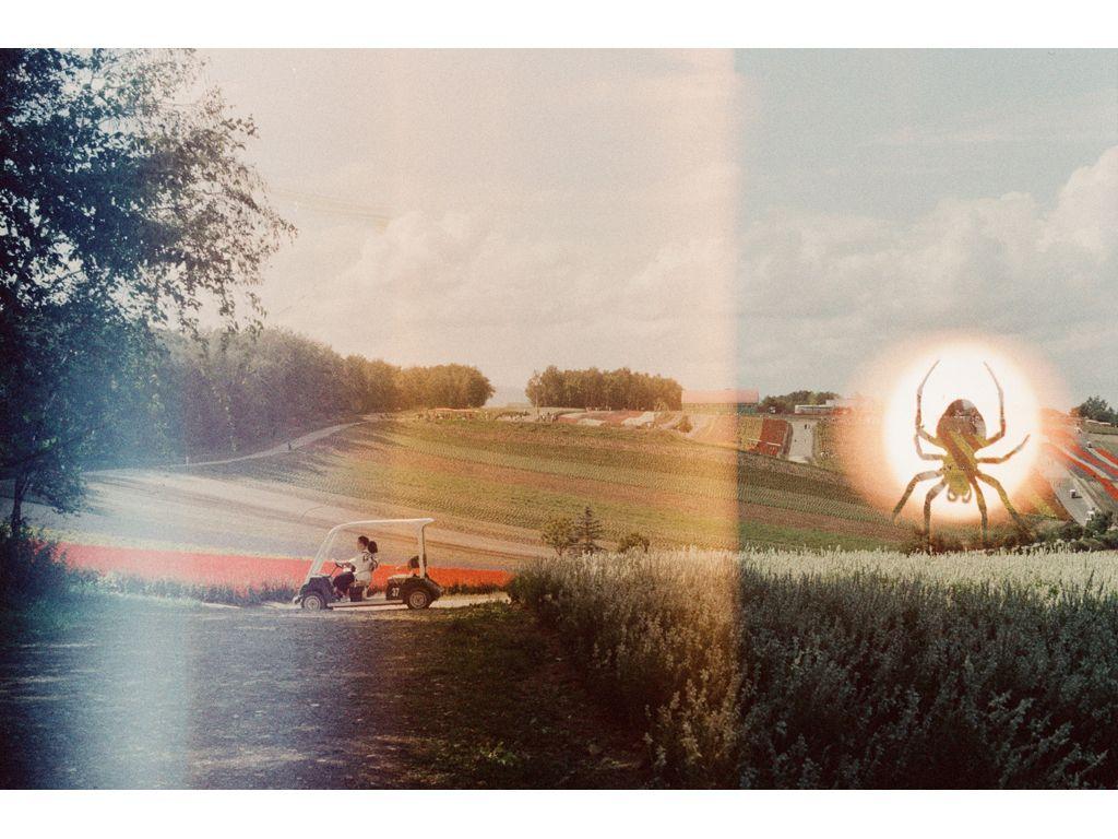 Laura Cohen, First Exposures Mentor - Biei, Hokkaido