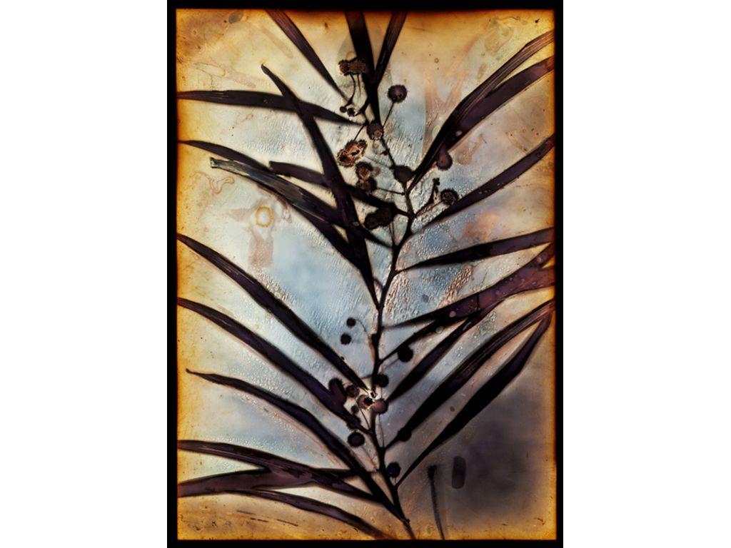 Lumen_5 - Mary Celojko, Friend of First Exposures