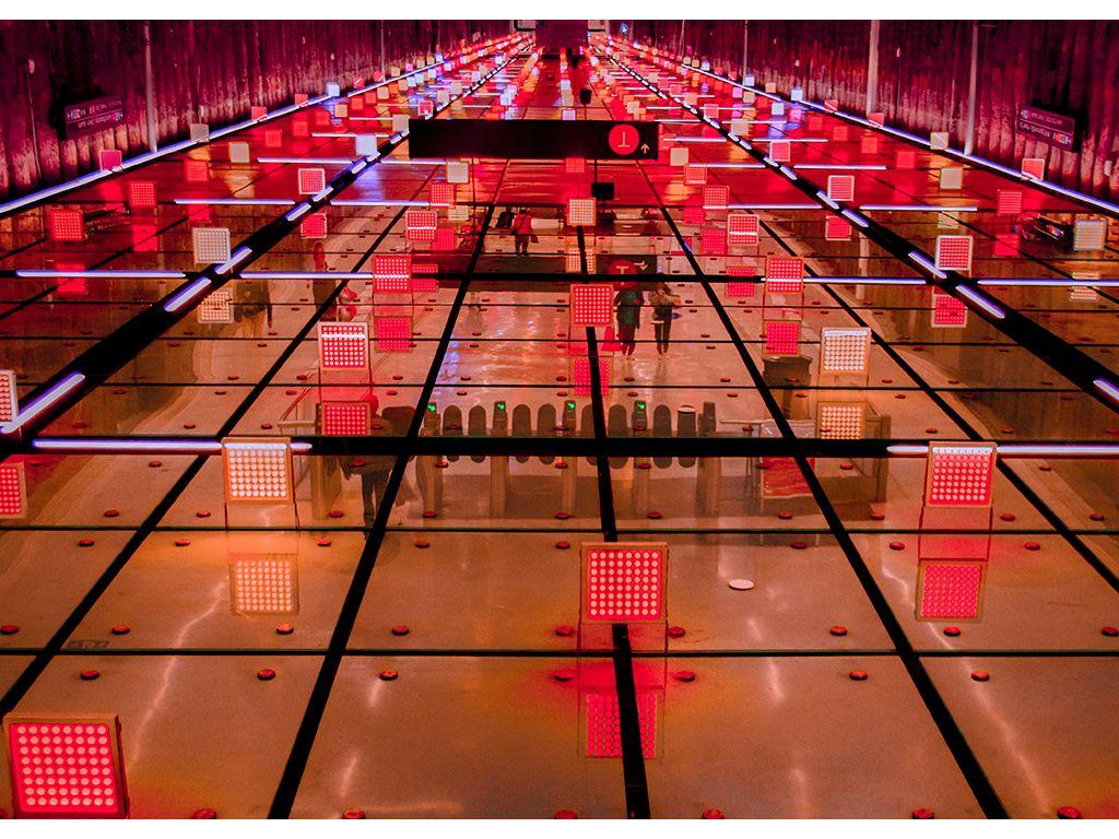 Looking Up - Jacqueline Li, First Exposures Mentee