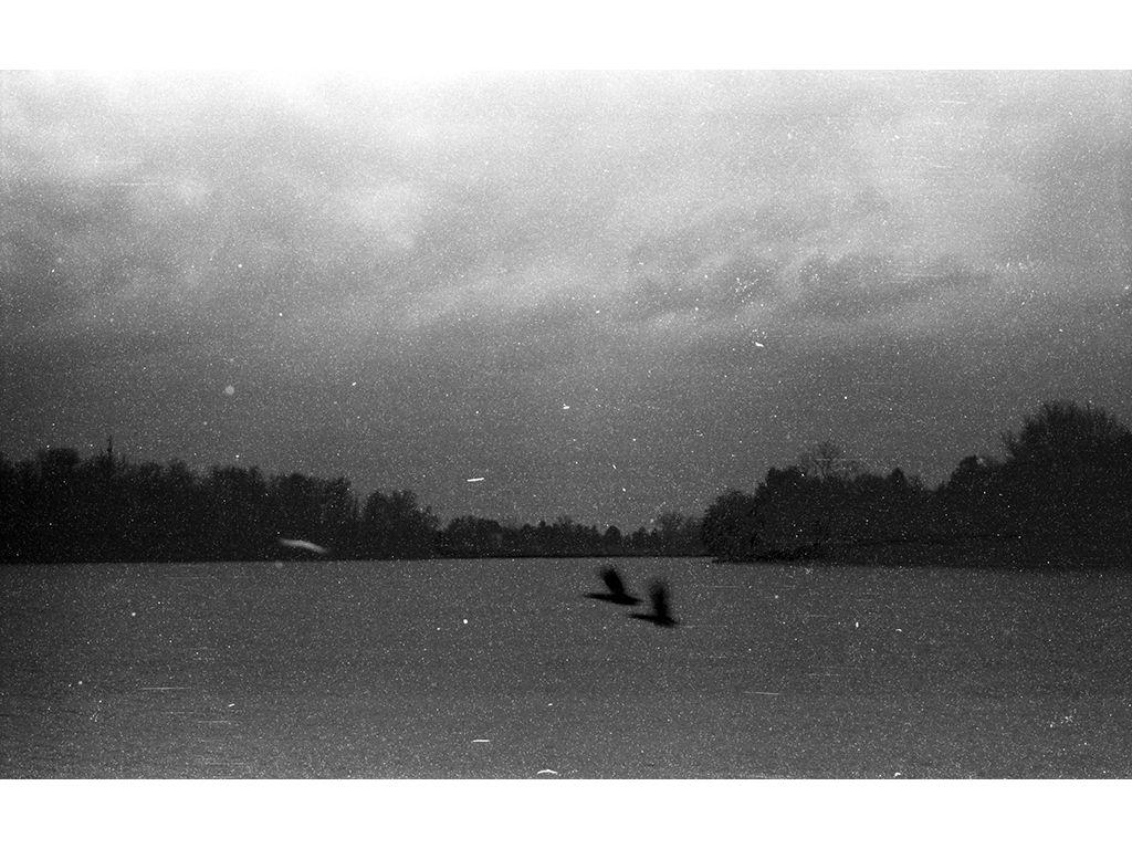 Lakeside Meet Up - Sean Keelan, First Exposures Ment...