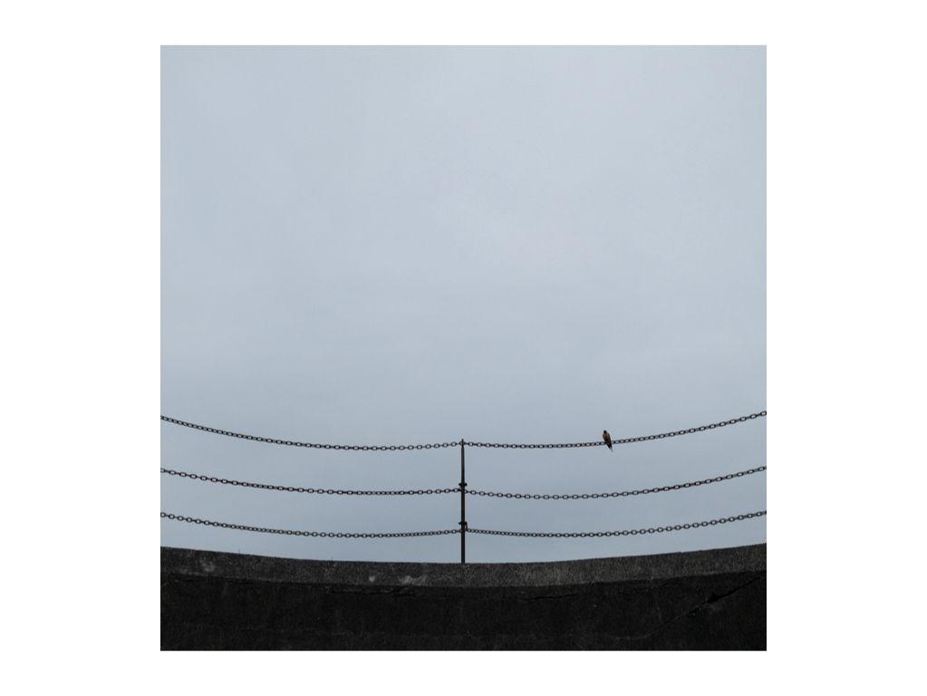 Untitled - Jenn Wilson, First Exposures Film Instruc...