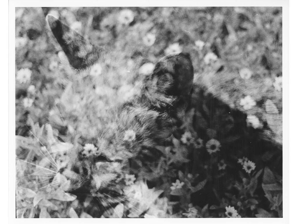 Kimberly Calles, First Exposures Mentee - Field of M...