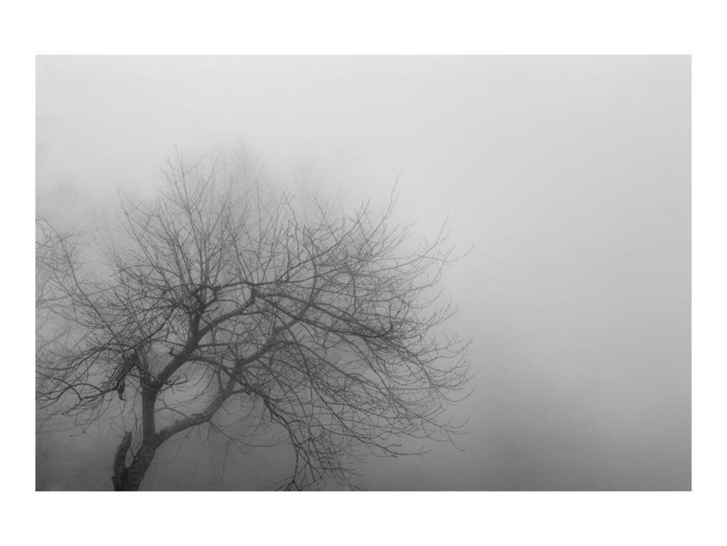 Untitled - JD Wade, First Exposures Mentor