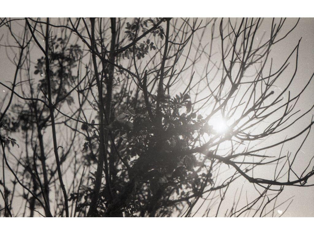 Itzel Perez-Alarcon, First Exposures Mentee - Mullin...