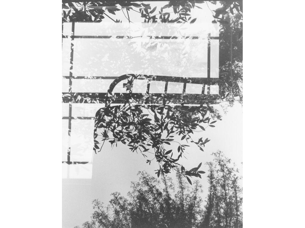 Juliana Martinez, First Exposures Mentor - Frames Th...