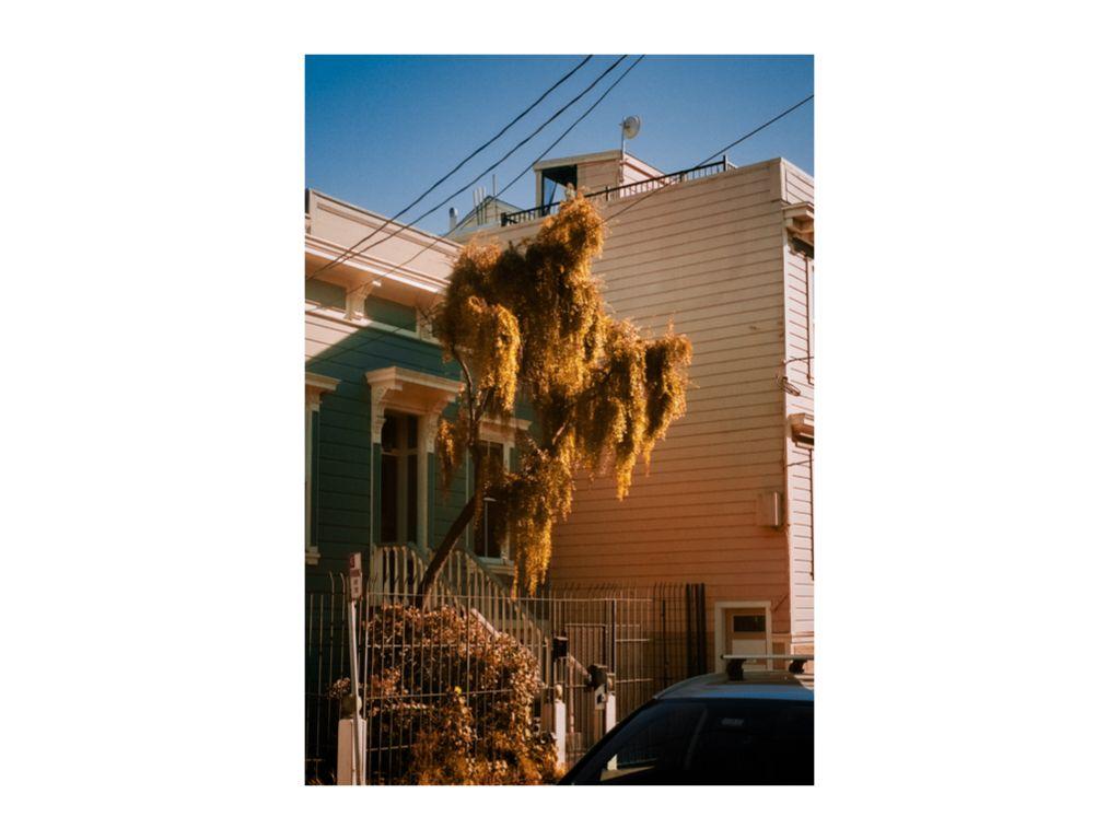 Golden Tree (Love Me In a Single Breath) - Bueno Pad...