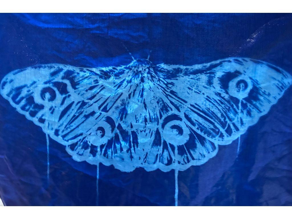 Corbin Zimmer, First Exposures Mentee - Moth, in blu...