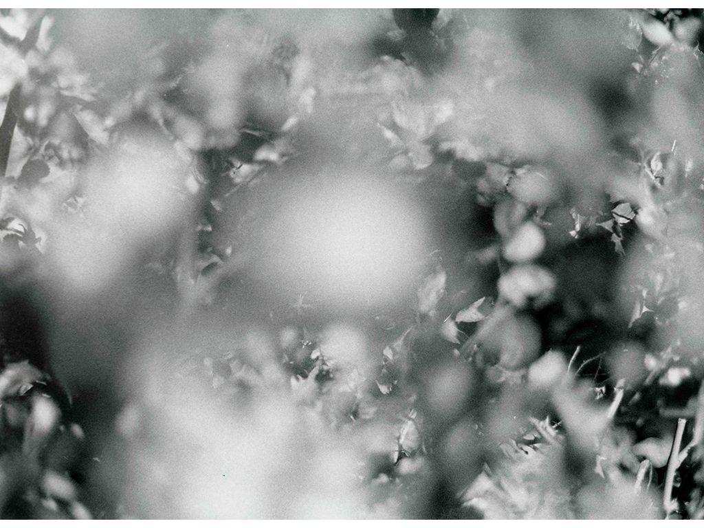 Flare - Deena Qabazard, First Exposures Staff, Film ...