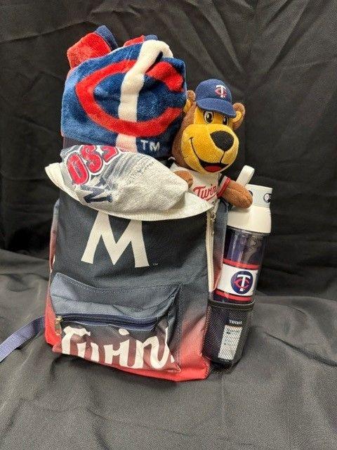 MN Twins - Kids Fun!
