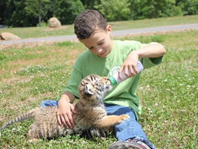 Zootastick Park of Lake Norman - THREE General Admission Passes