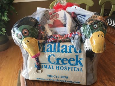 Mallard Creek Animal Hospital - Doggy Gift Basket
