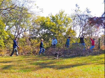 Troop 13 Boy Scouts - 3 Hours of Yard Work by 3 Boy Scouts
