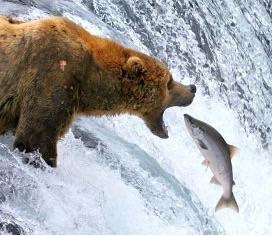 CREEKSIDE SALMON BBQ 2025