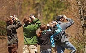 GO BIRDING WITH A MASTER BIRDER!