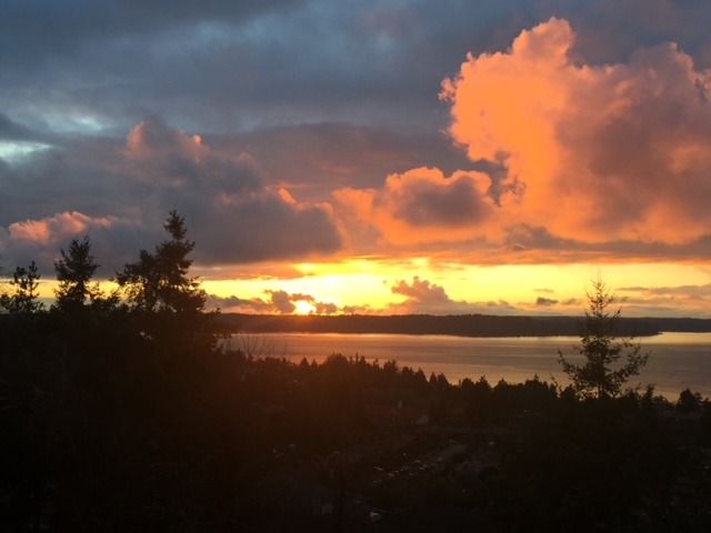 WEST SEATTLE SALMON SUNSET SUPPER