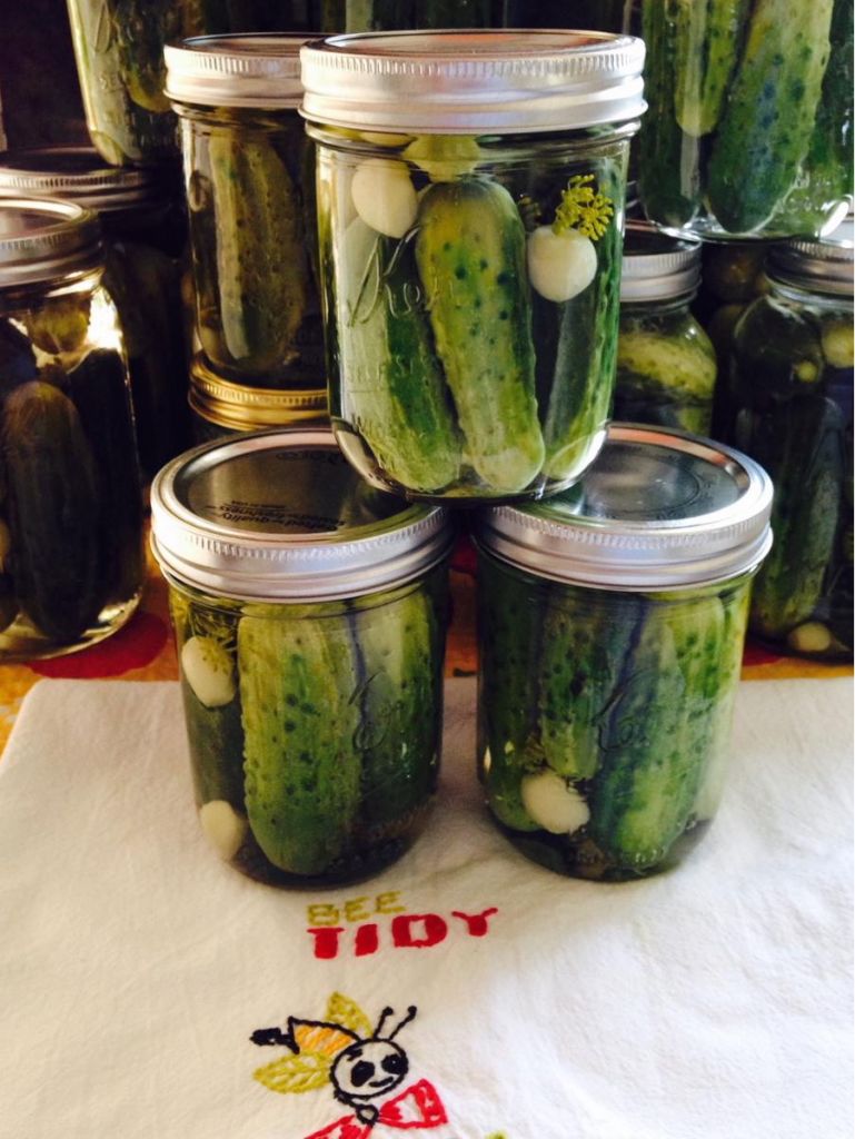 GARLIC DILL PICKLES, OH MY! 2024