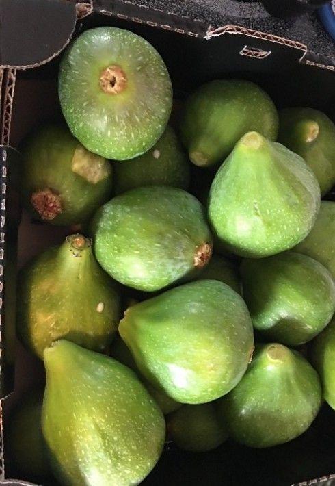 RAFFLE: FRESH FROM THE GARDEN - SUMMER HARVEST 2026