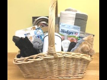 Spoiled Dog Basket of Goodies