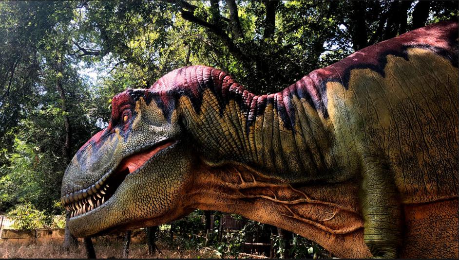 Four general admission tickets to the Heard Natural Science Museum & Wildlife Sanctuary (McKinney, TX)