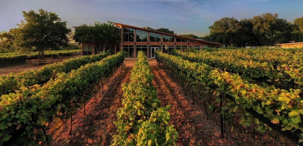 Wine Lovers Experiences for four at William Chris Vineyards & Lost Draw Cellars (Hye, TX)