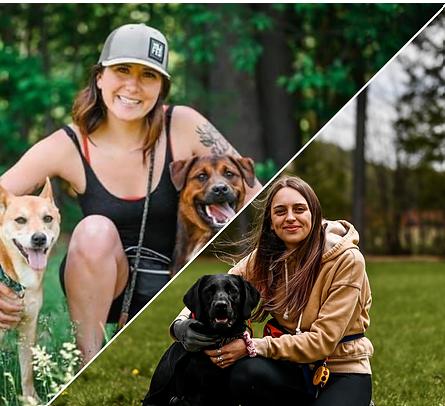 Dog-Ship Coaching (Online)