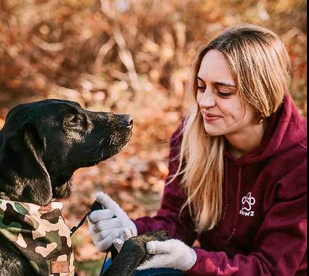 Dog-Ship Coaching (Online)