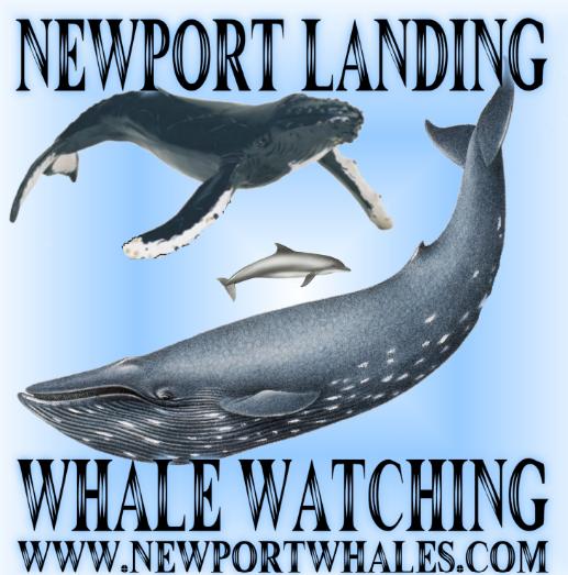 Whale Watching Cruise for two (Newport Beach, CA)