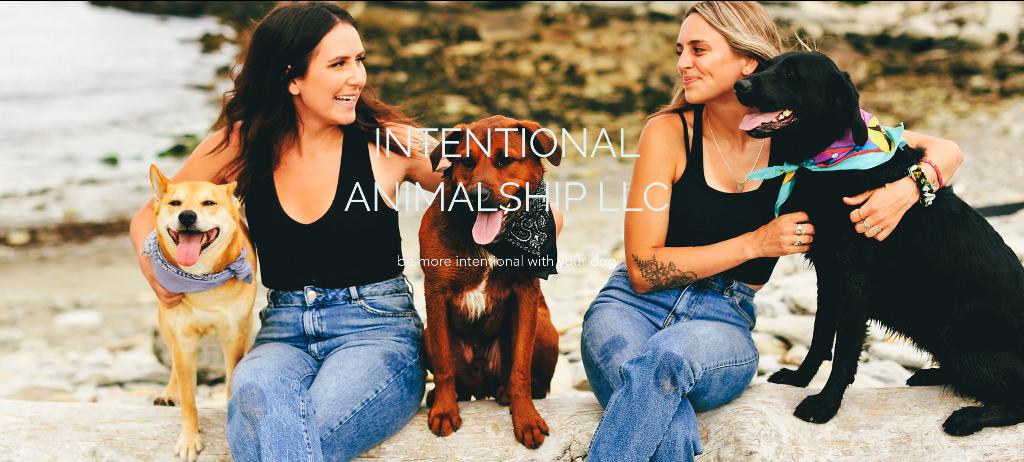 Dog-Ship Coaching (Online)