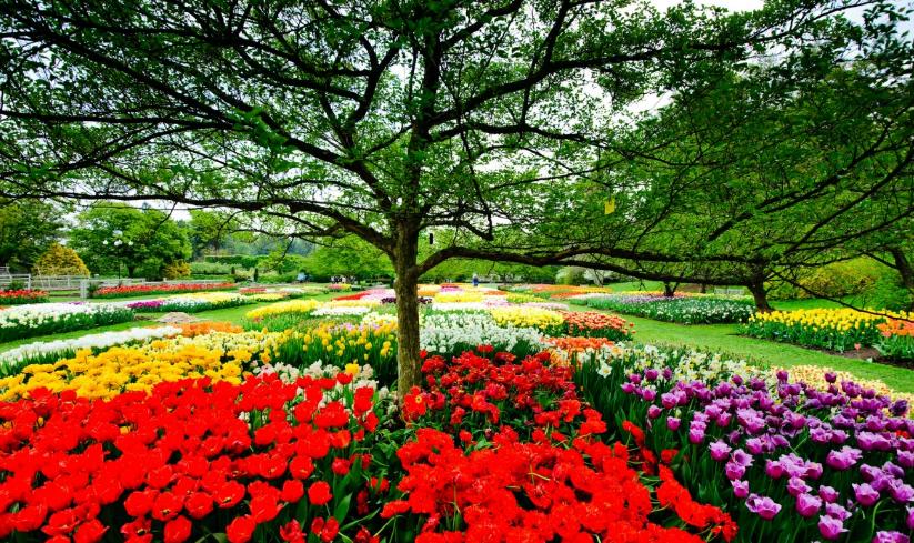 Two general admission tickets to Longwood Gardens (Kennett Square, PA)