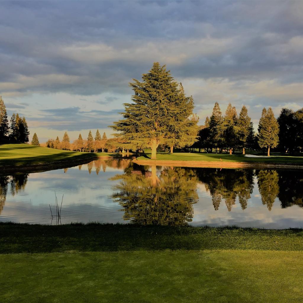 Golf for four at Oakdale Golf and Country Club