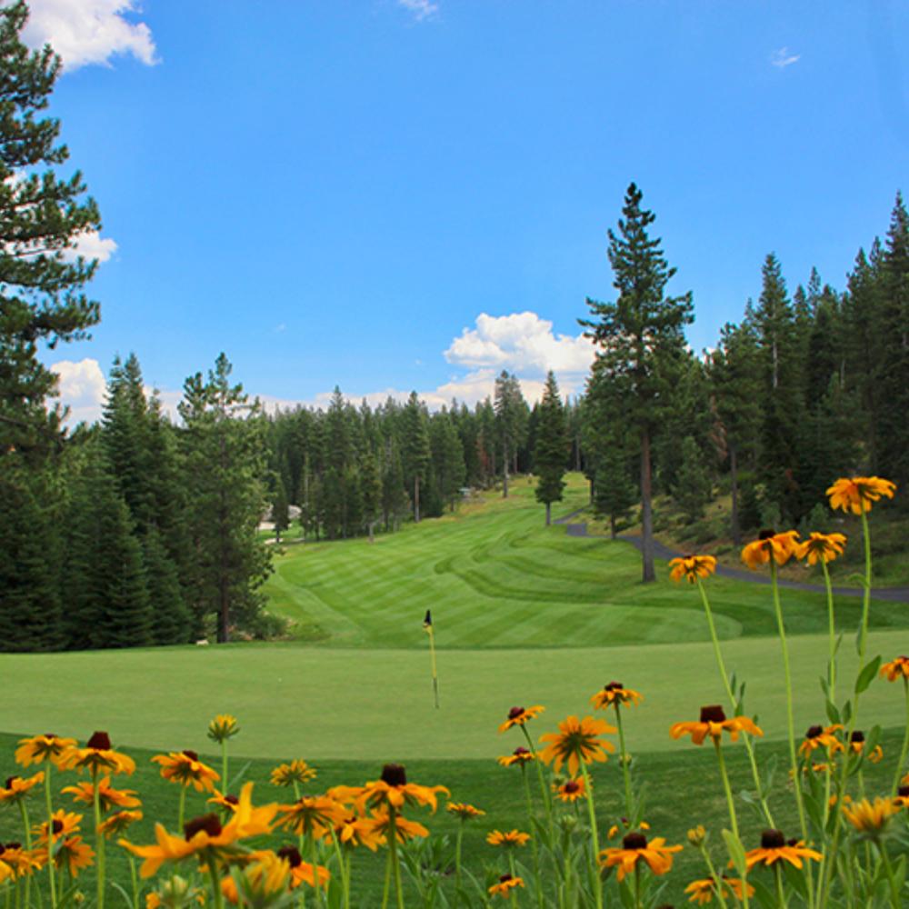 Golf for 2 at Coyote Moon