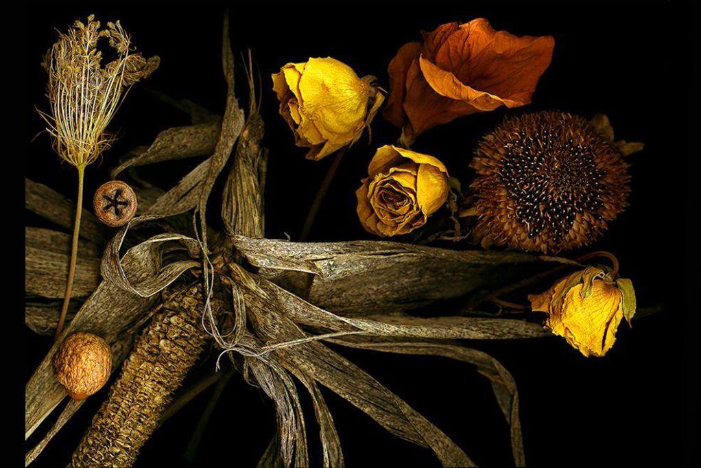 Gatherings from my Garden, by Peter Krohn 28.5'' x 3...
