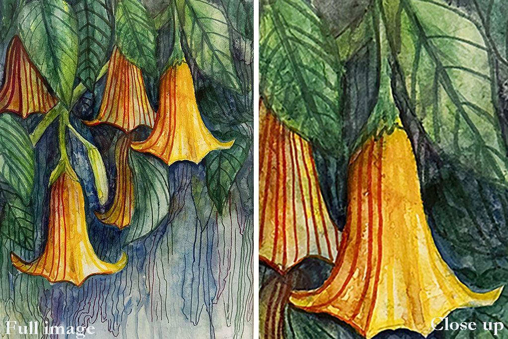 ''Flowers'' watercolor by Rosa Diaz-Serrano