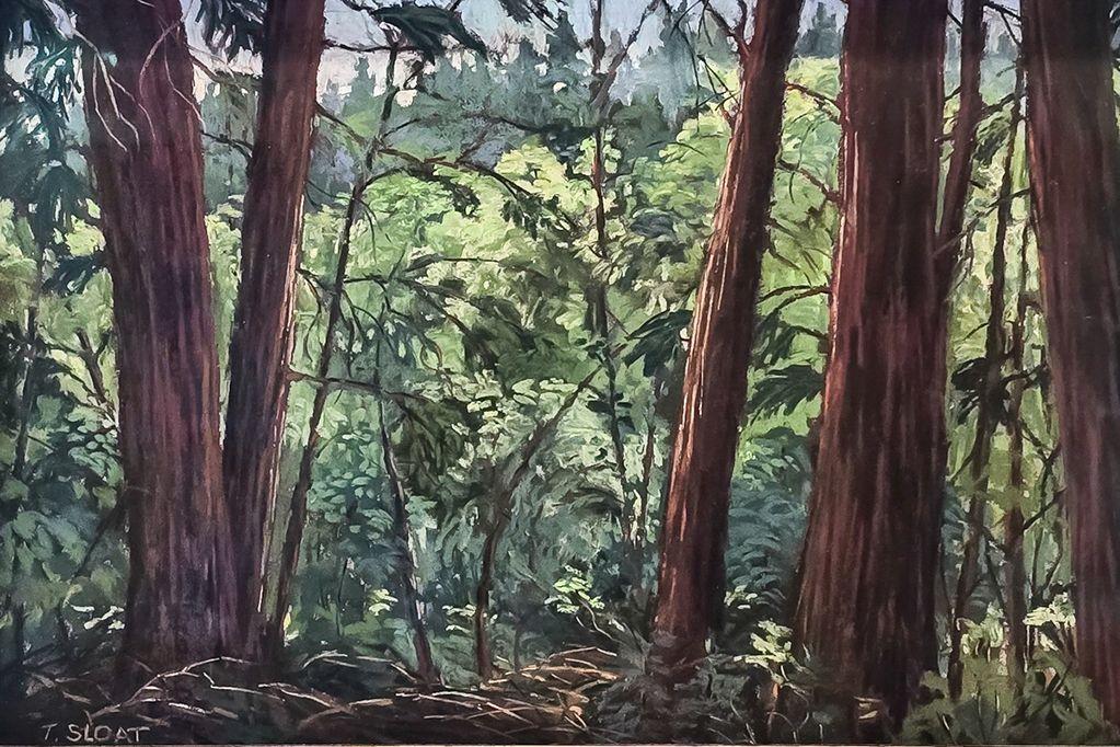 ''Redwood Morning'' by Sonoma artist, Teri Sloat