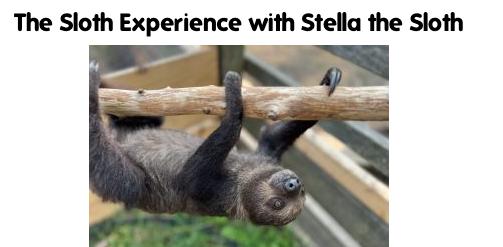 Certificate towards private Sloth Experience