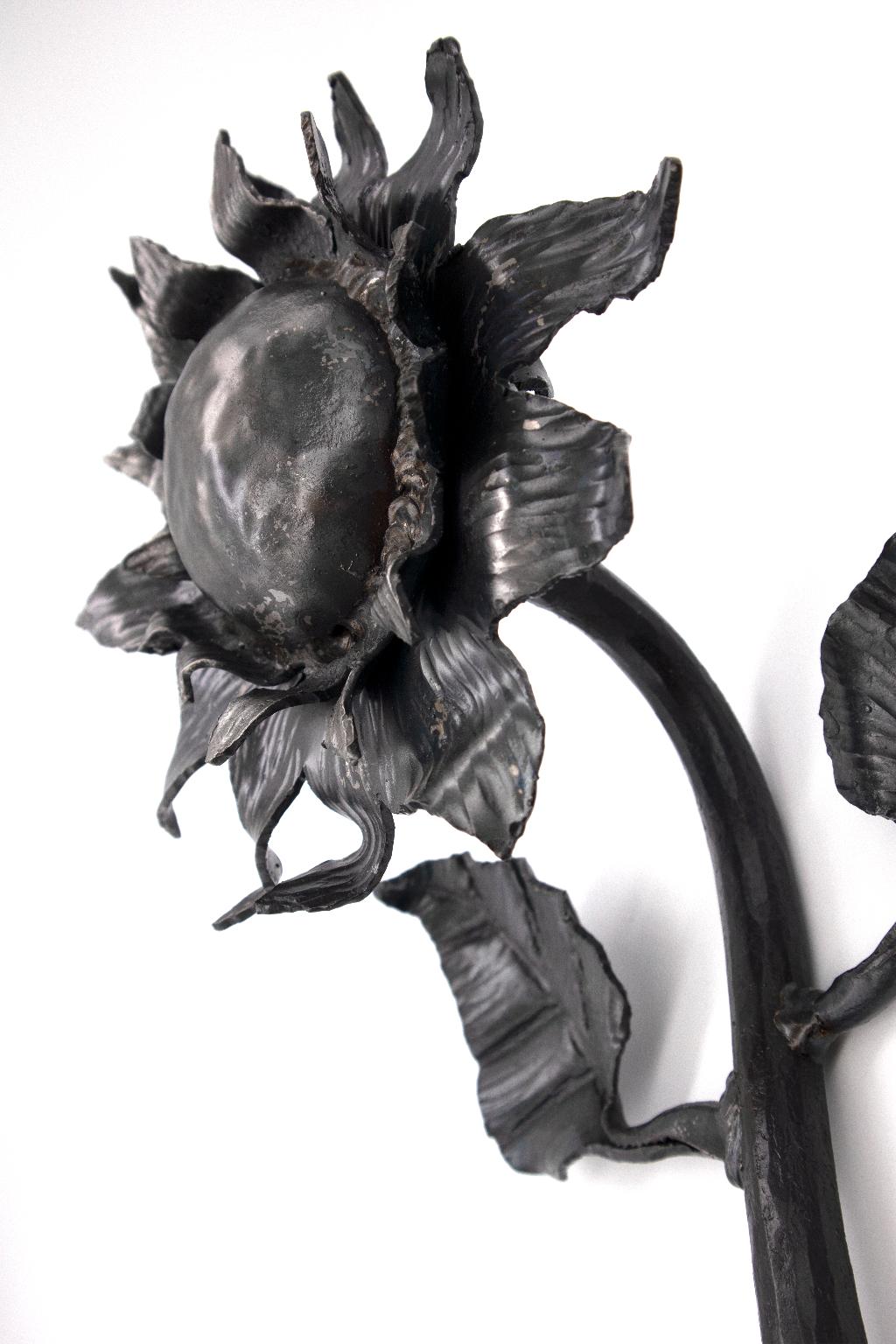 ''Sunflower'' by Daren Fitzpatrick