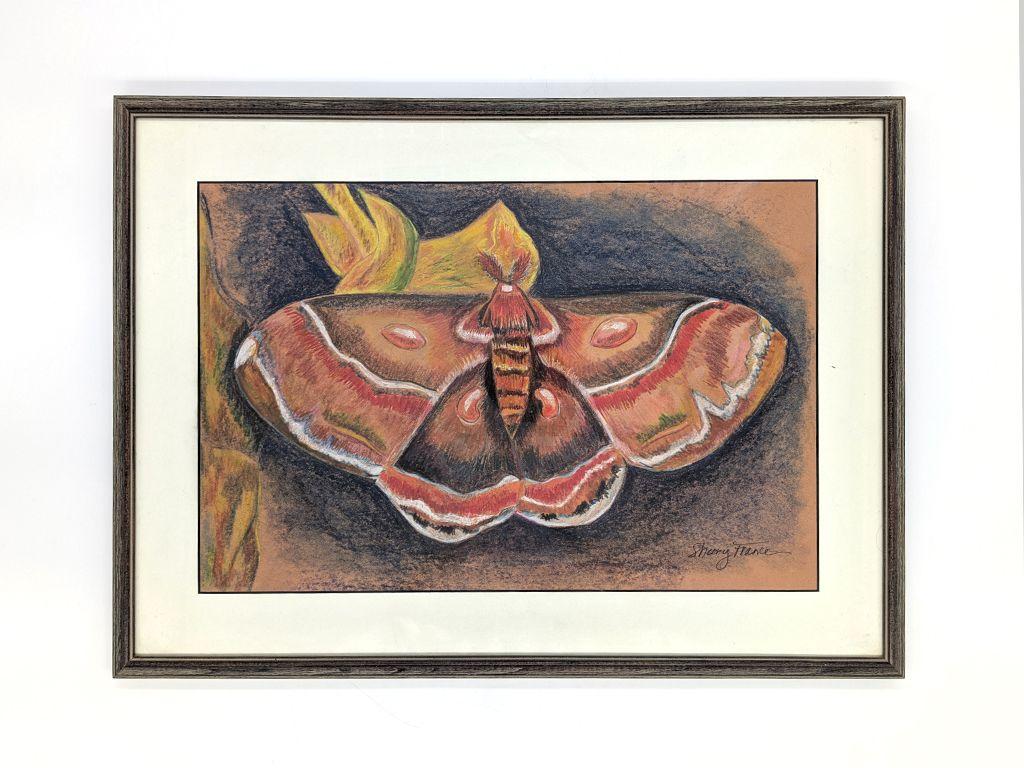 ''Cecropia Moth'' by Sherry France