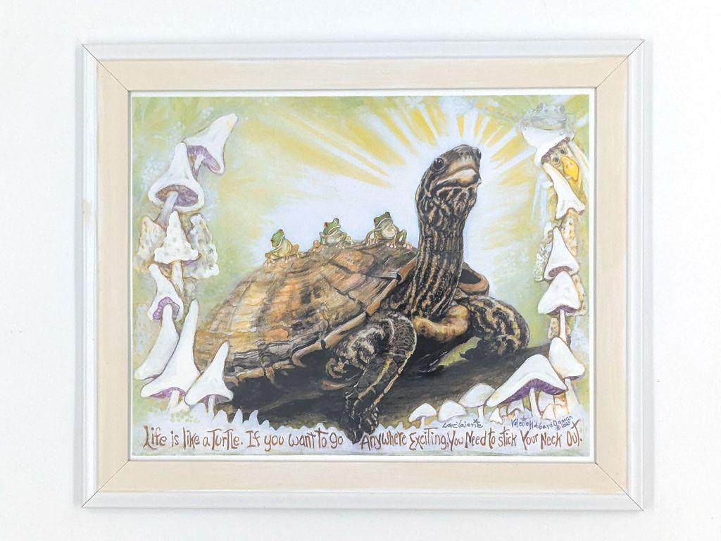 ''Framed Turtle'' by Valerie Hubbard Damon