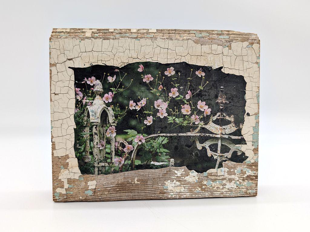 ''Garden Gate'' by Edward C Robison III