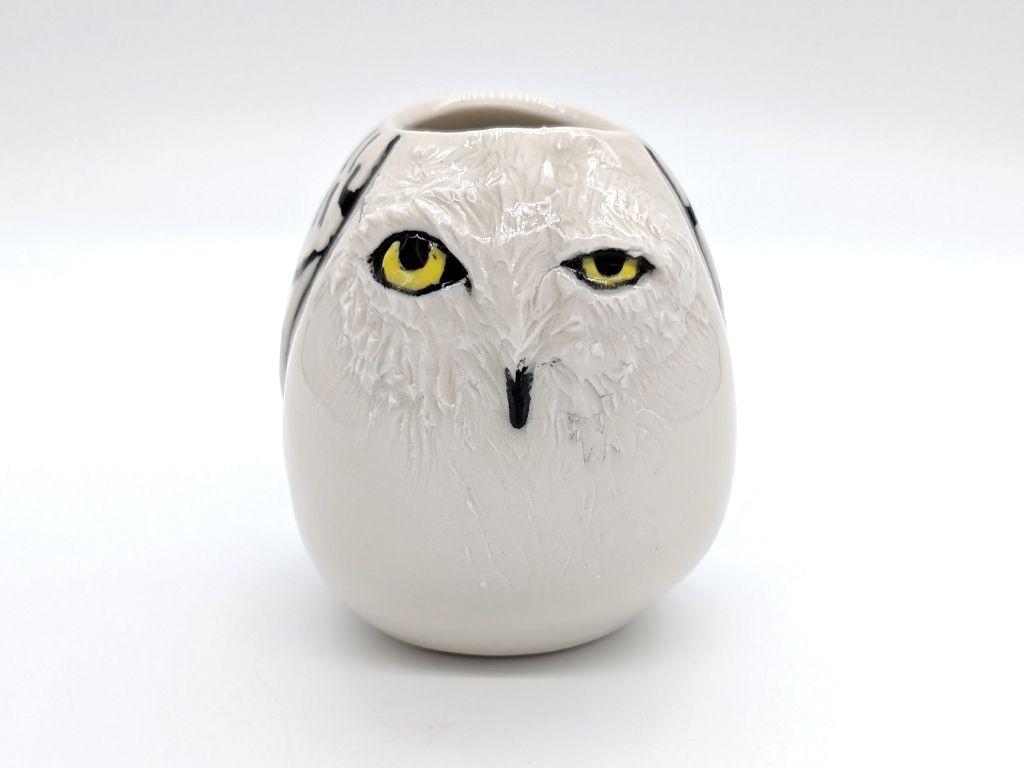 ''Betty the Owl of the Ozarks'' by Kim Brook and Bet...