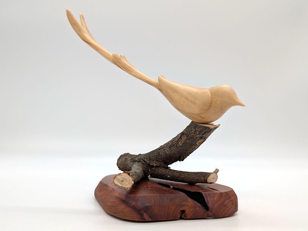 ''Scissortailed Fly-catcher'' by Steve Walter