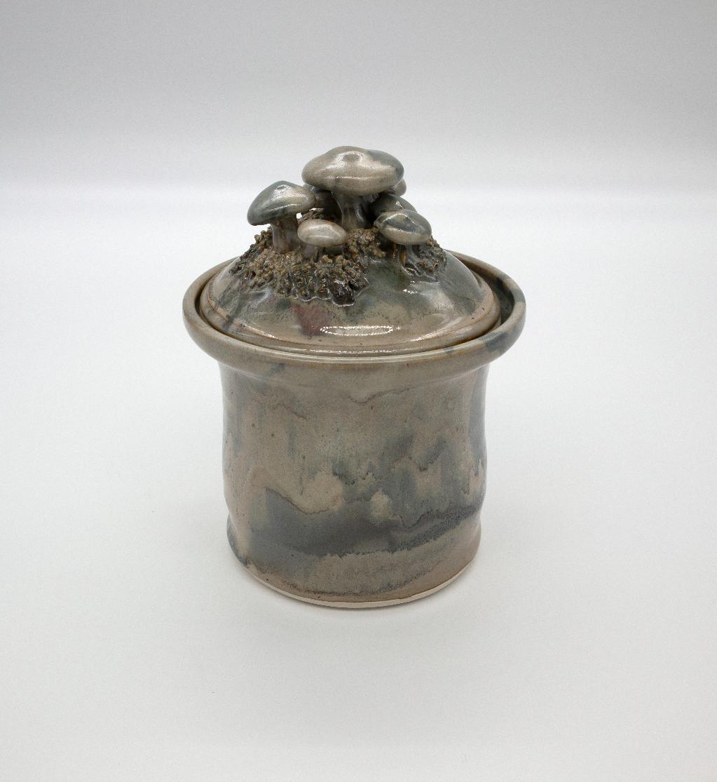 ''Mushroom Jar'' by Steve Beacham