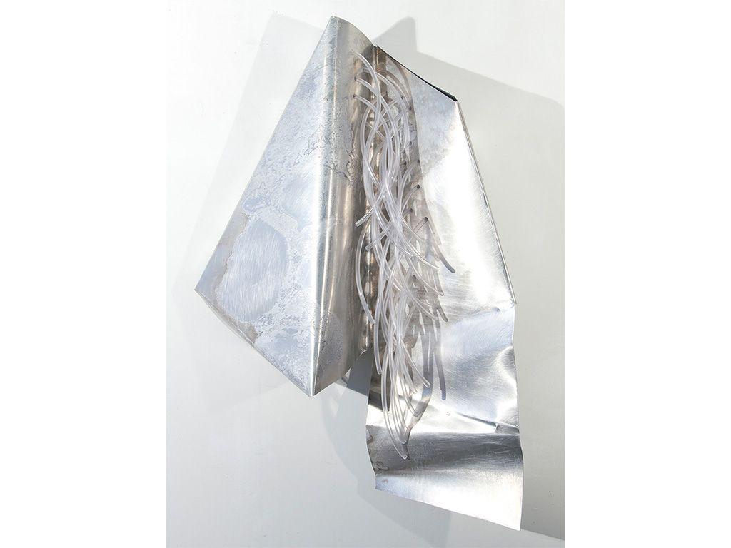 ''Amphipod'' by Flora Davis